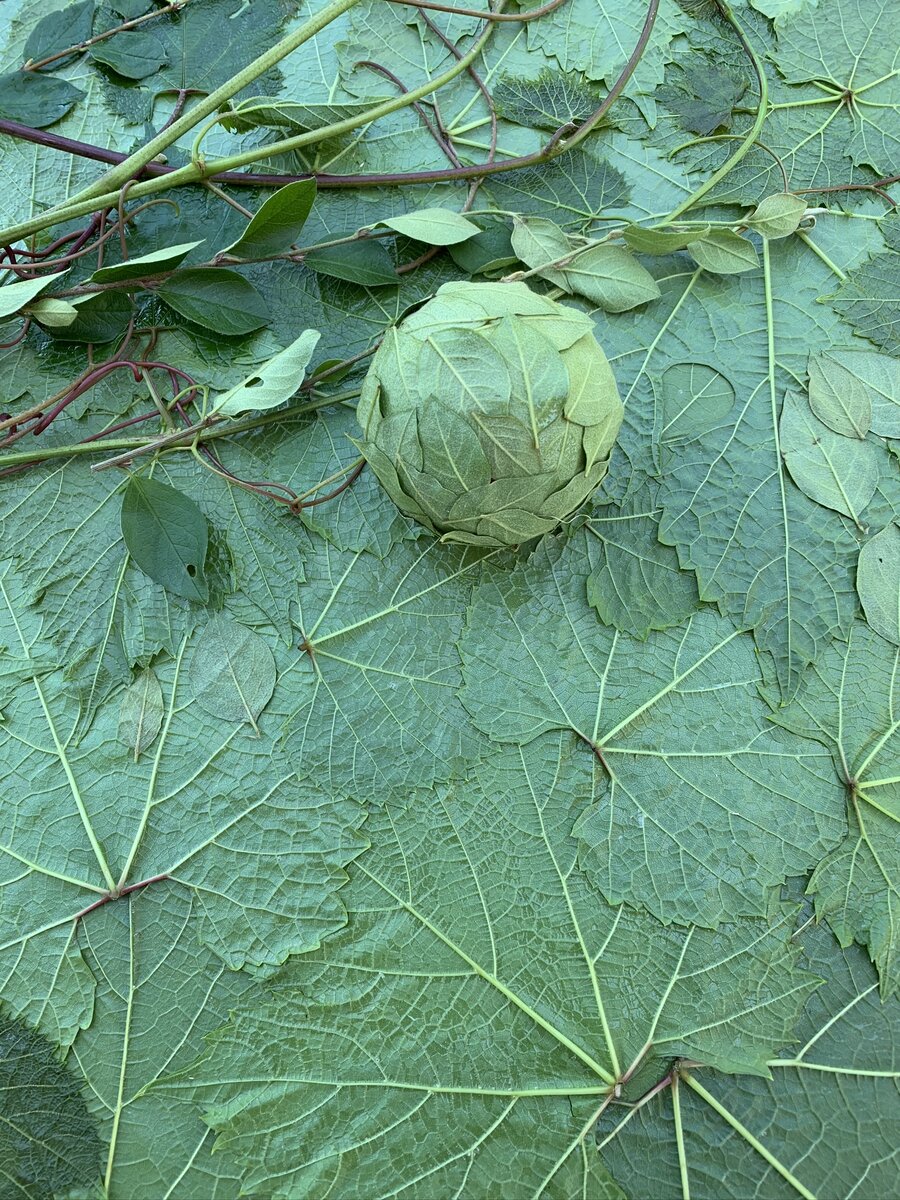 Листья -основа фотофона
