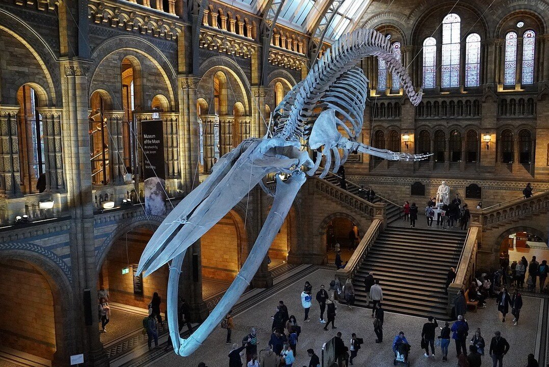  Содержание