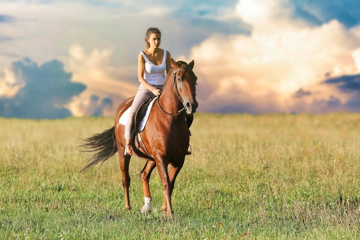 Источник: pixabay.com