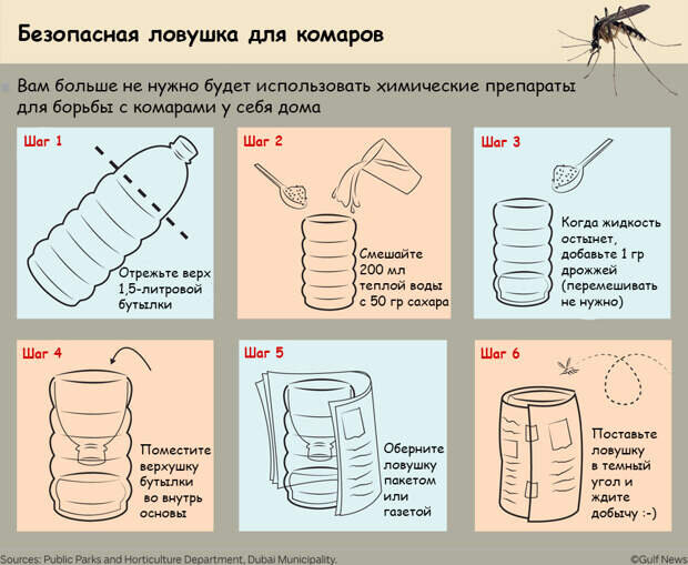 10 лучших народных средств от комаров и других насекомых