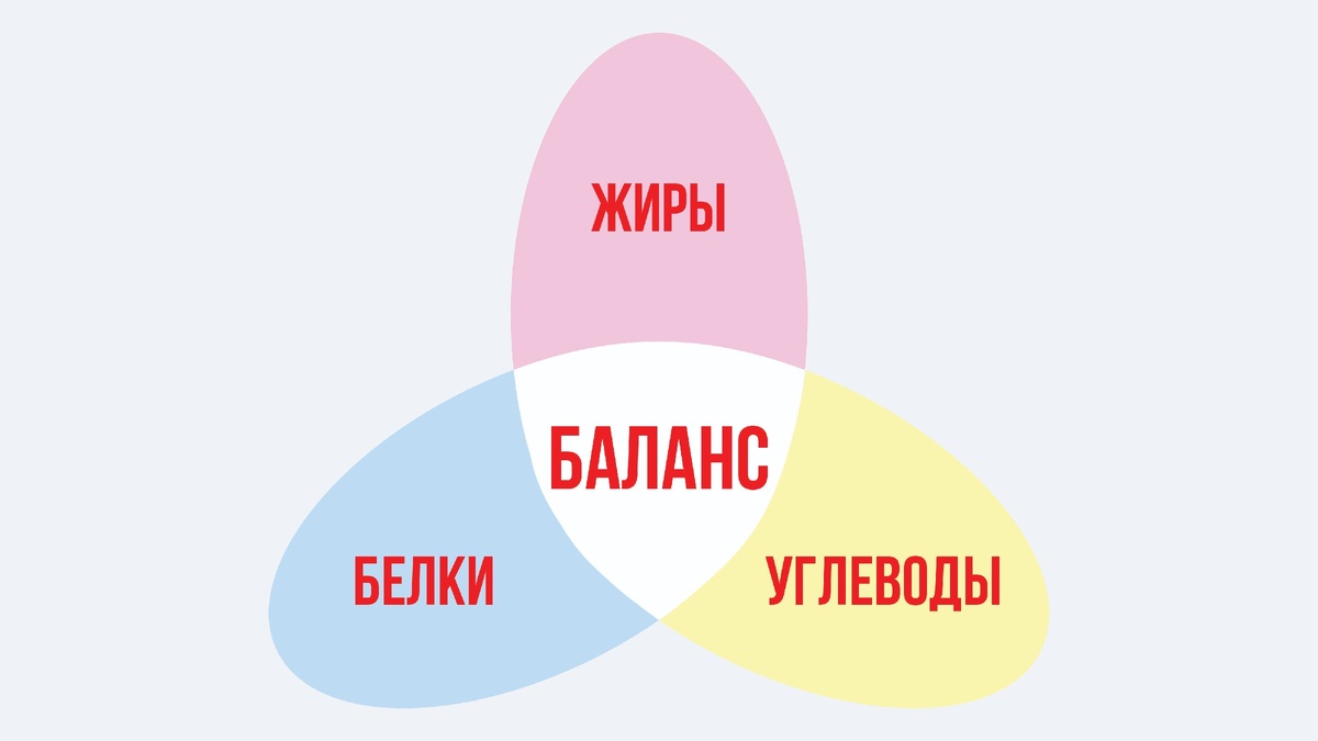 Для правильного обмена веществ нужны и жиры, и белки, и углеводы