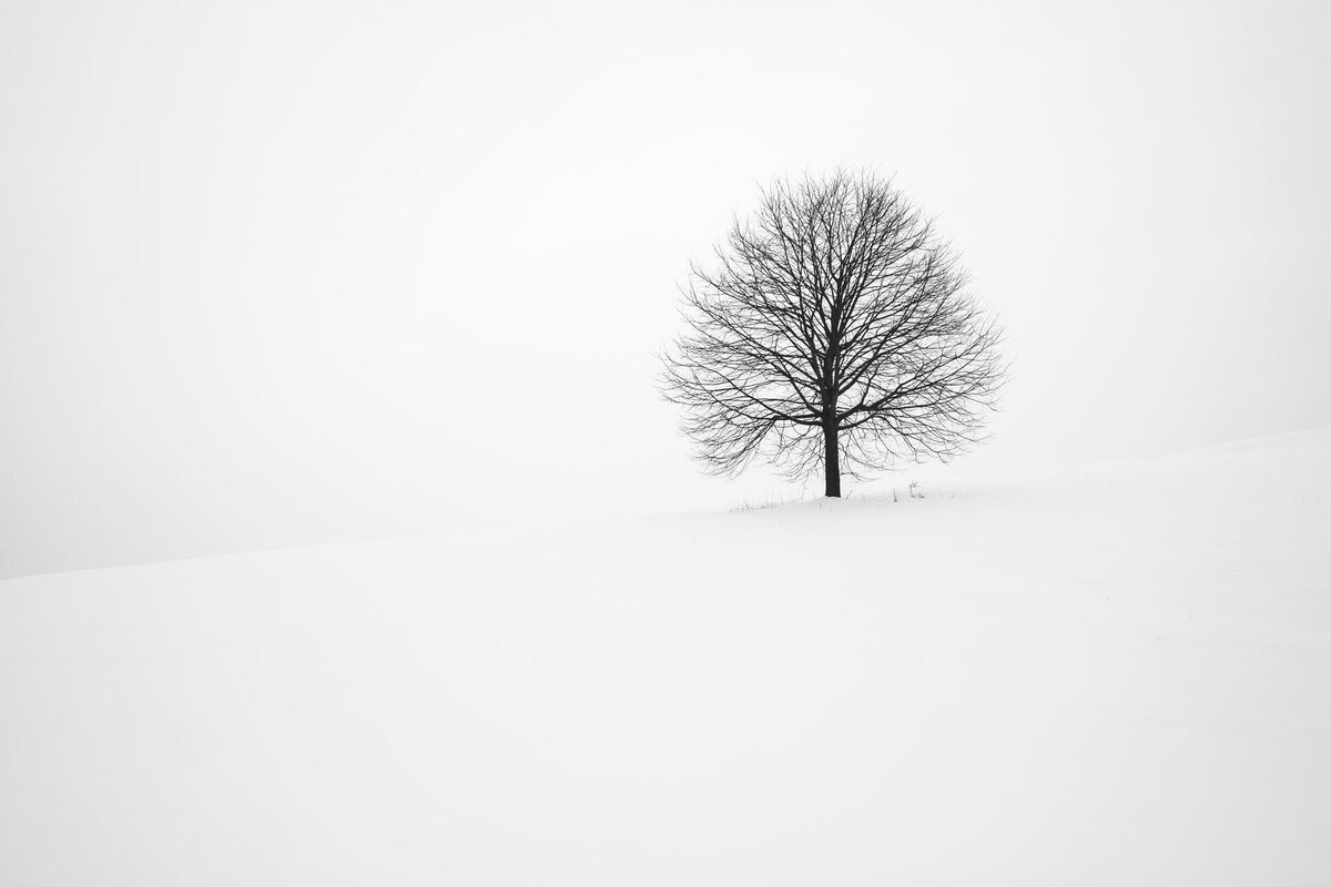 Photo by Fabrice Villard