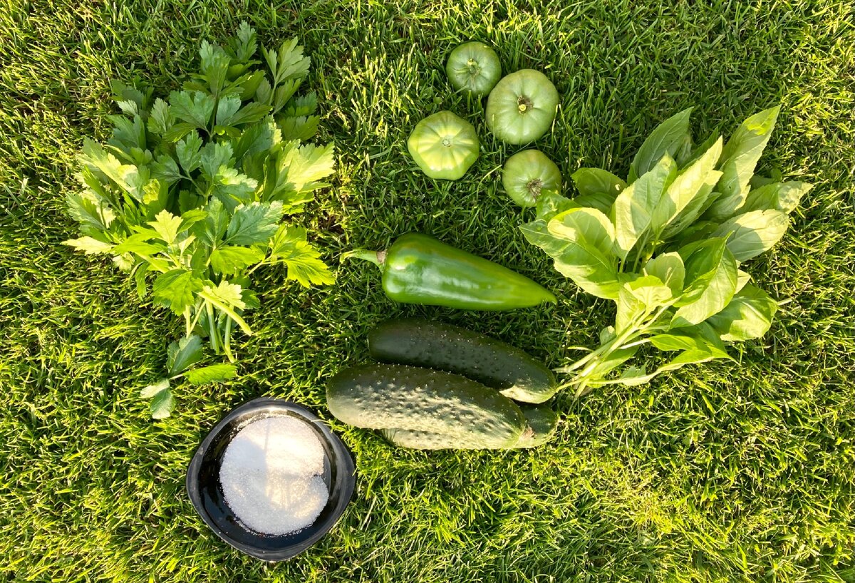 Ингредиенты для «зеленой» приправы