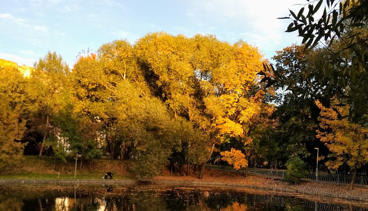 Связь Вашего дома и судьбы. Фото автора.