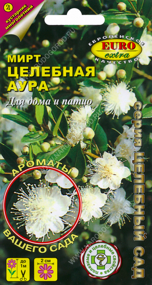 Мирт Целебная Аура, Аэлита