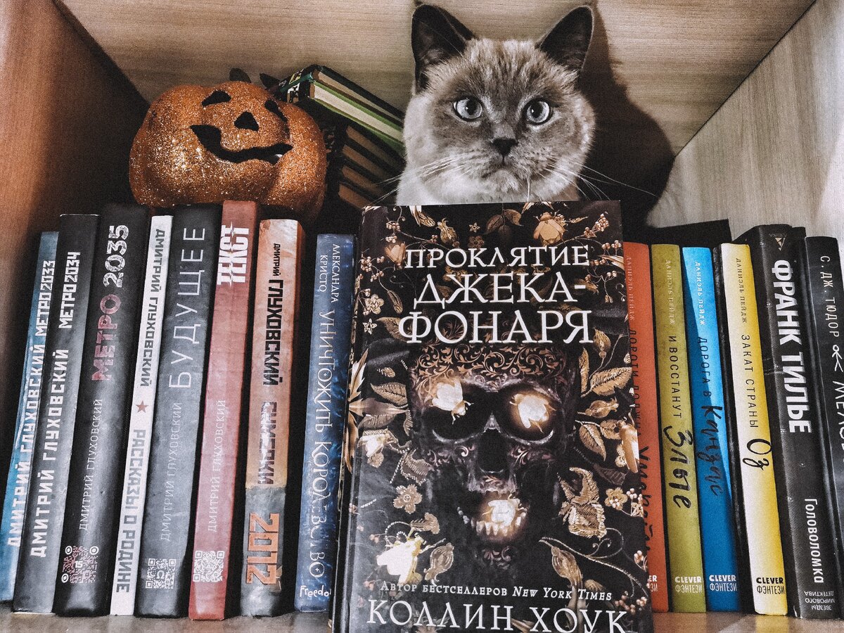 Объясните кто-нибудь Шерлоку, что это книжная полка, а не его спаленка. 