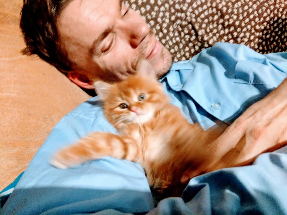 Луча в первый вечер своей жизни у нас, 23 ноября 2018 г.