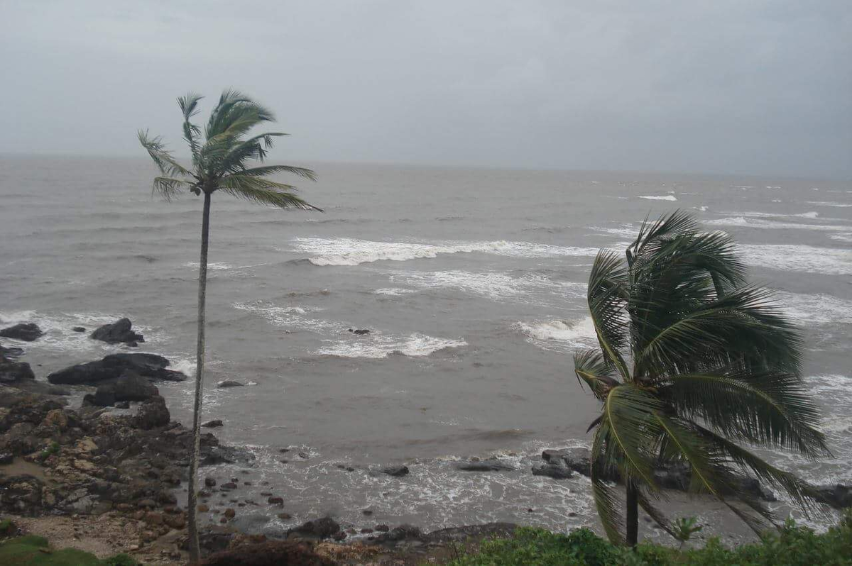 Индийский океан ветер. Тропический Муссон в Индии. Муссон ветер.