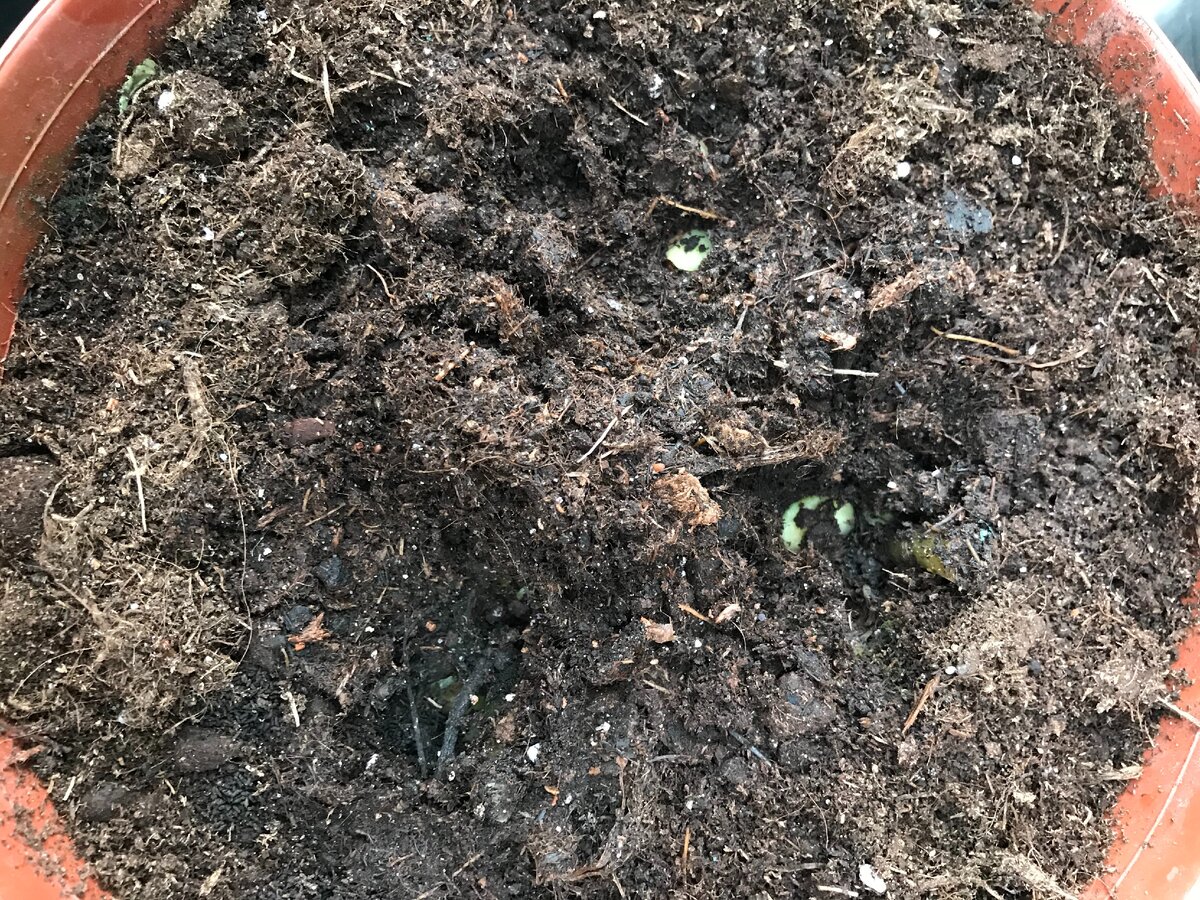 все, можно убирать спать