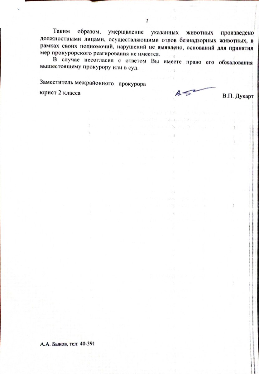 Убийство бездомных собак в Забайкалье | Веганство - норма жизни! | Дзен