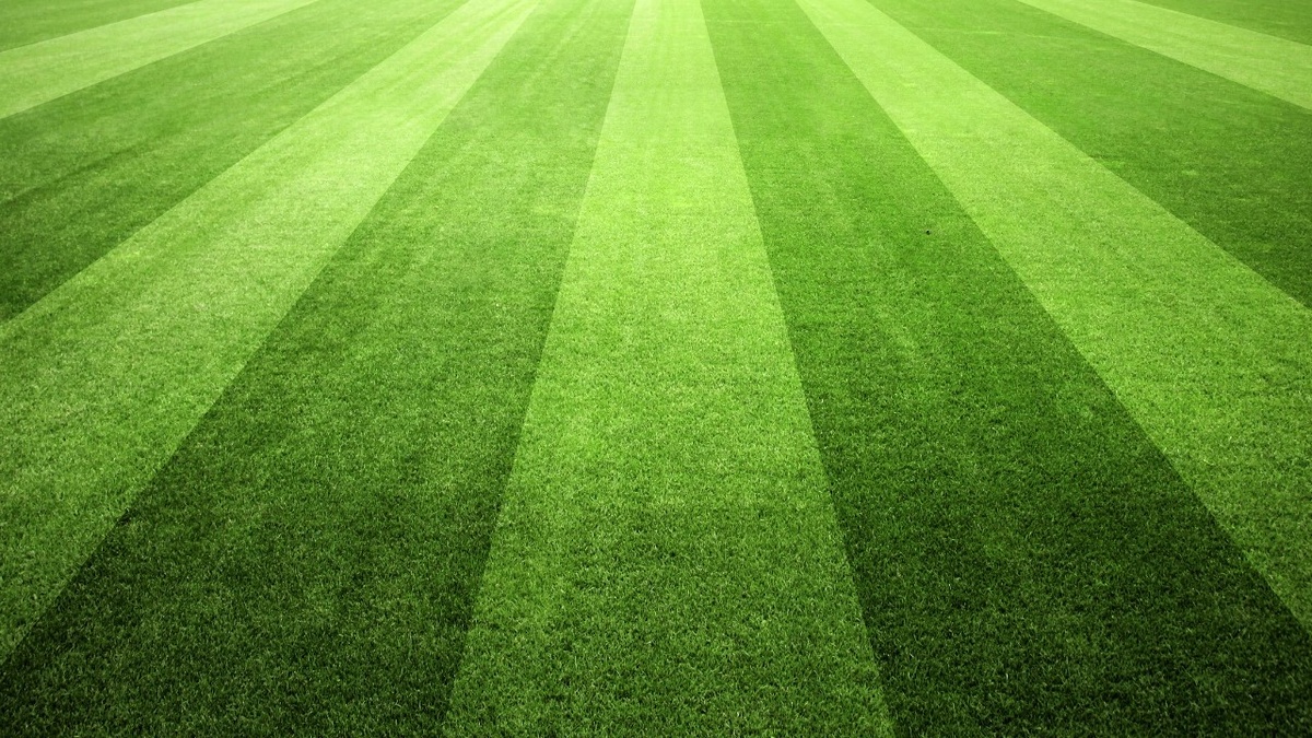 Спортивный газон