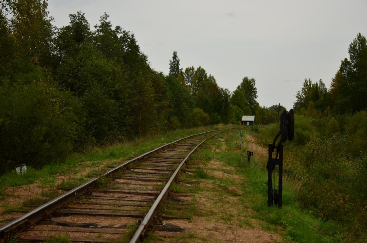 Погода в тверской обл на 14. Деревня Скакулино Тверская область. Селижарово Тверская область. Подслушка Селижарово. Селижарово Тверь.