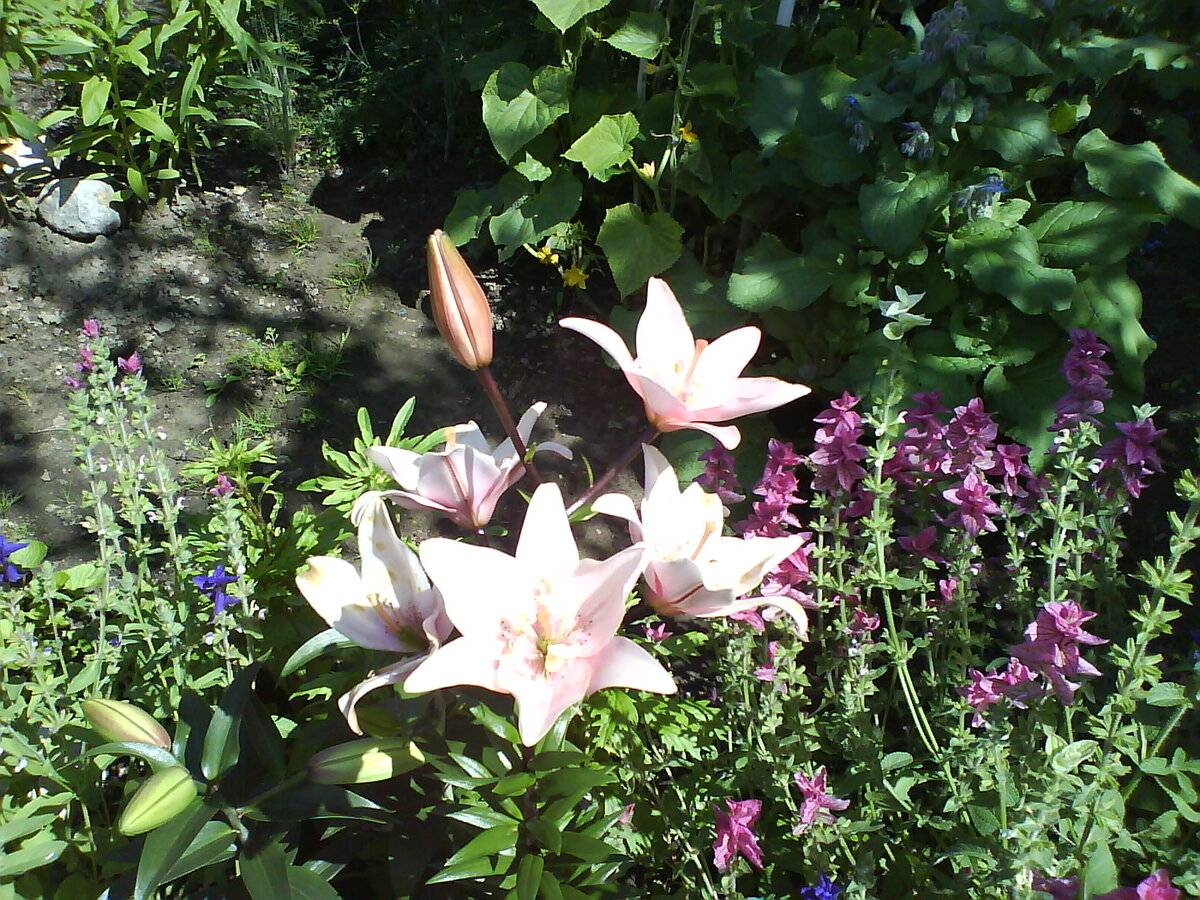 Фото из личного архива автора