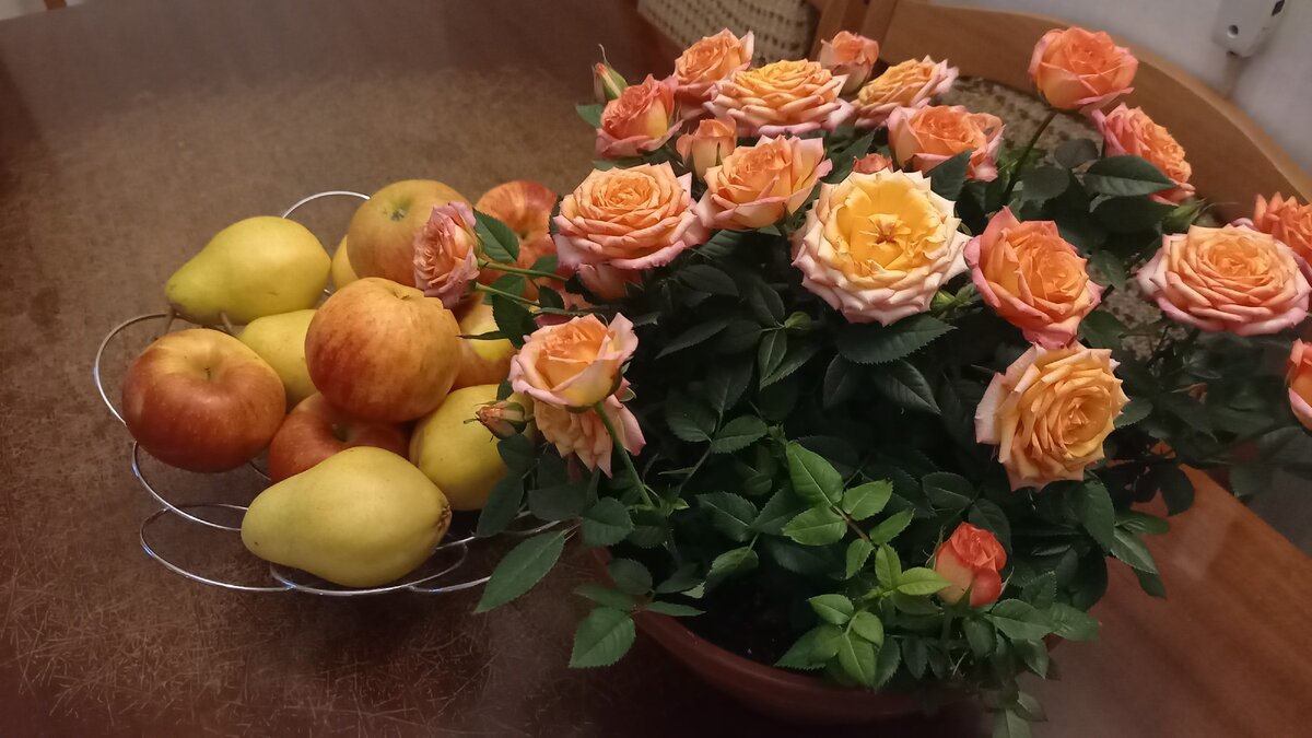 Домашнее. Фото автора.