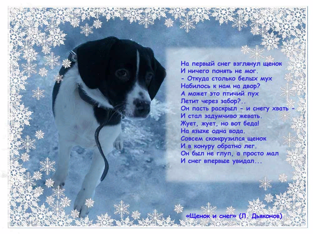Стихотворение день снега. Стих про зиму и собаку. Стих про собаку. Щенок и снег стихотворение. На первый снег взглянул щенок стихотворение.