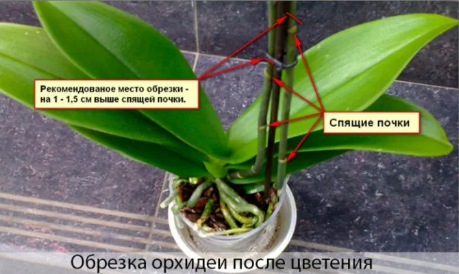 фото изоткрытого источника