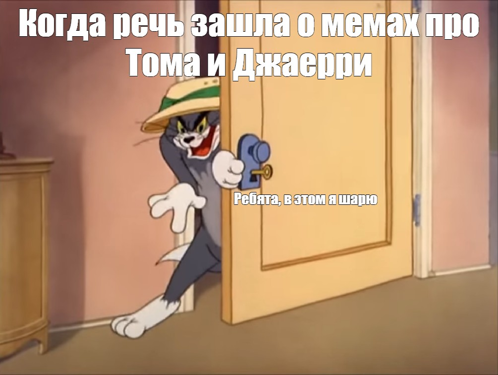 Шаришь в этой теме мем