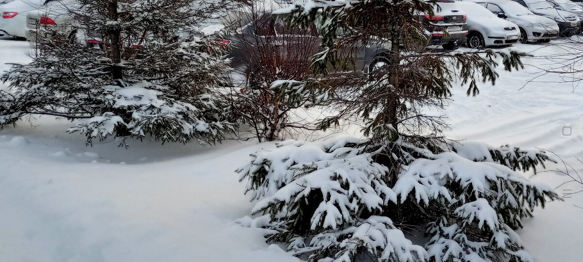 (Личное фото автора)