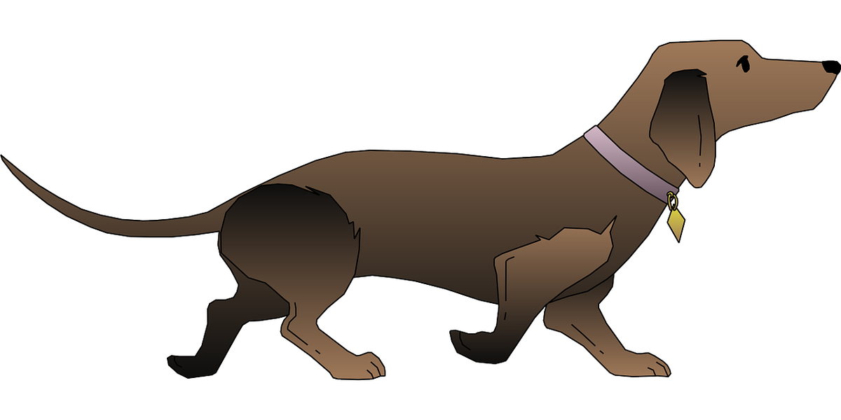 Источник pixabay