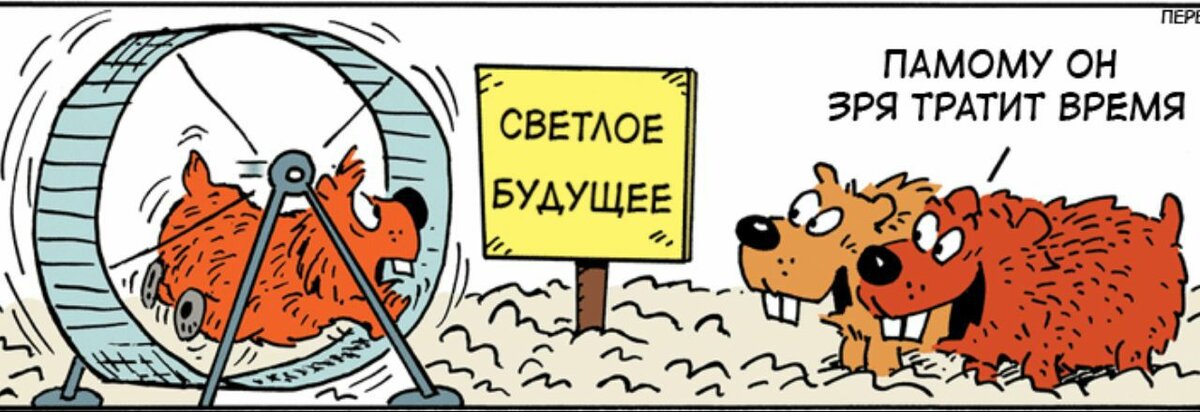 Все на круги своя. Белка в колесе карикатура. Смешная белка в колесе. Сумасшедшая белка в колесе. Белка в колесе юмор.