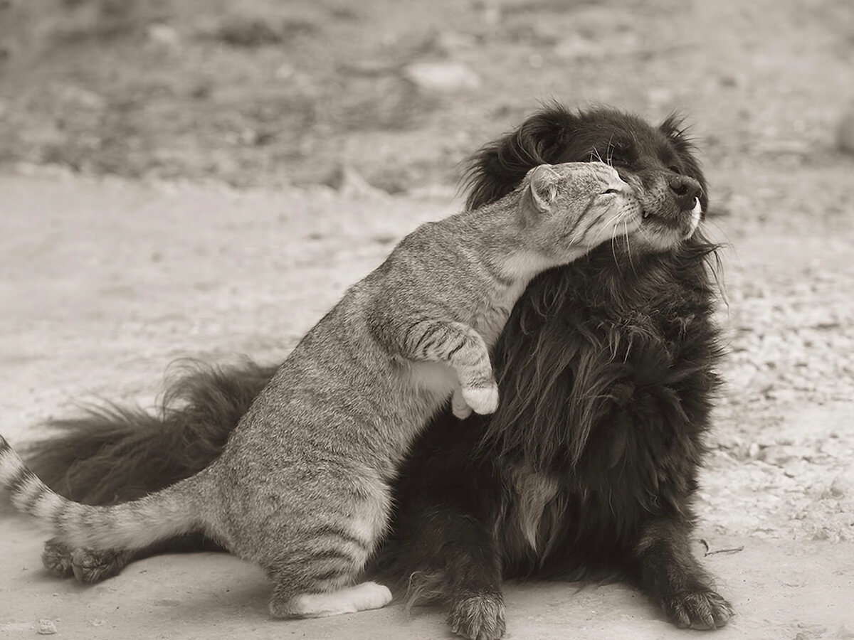 Ну прости, ну!!!