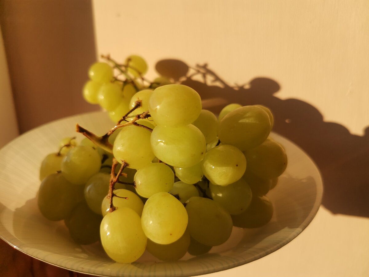 Мы познакомились с Сашей месяц назад. Встретились. И что-то зашло в тупик 