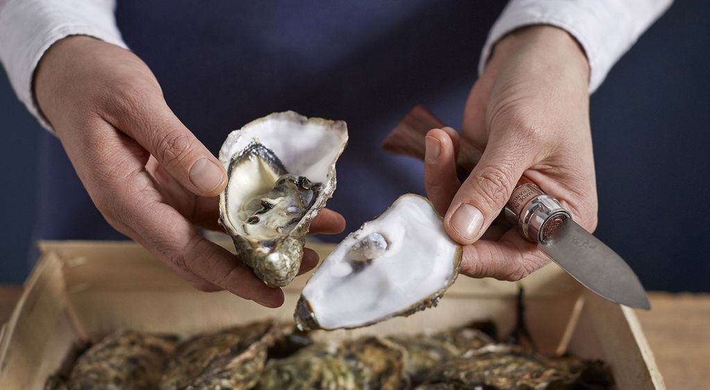 НОЖ OPINEL №09 OYSTER ДЛЯ УСТРИЦ, фото с официального сайта www.opinel.com.