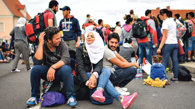 Ваши коллеги по несчастью