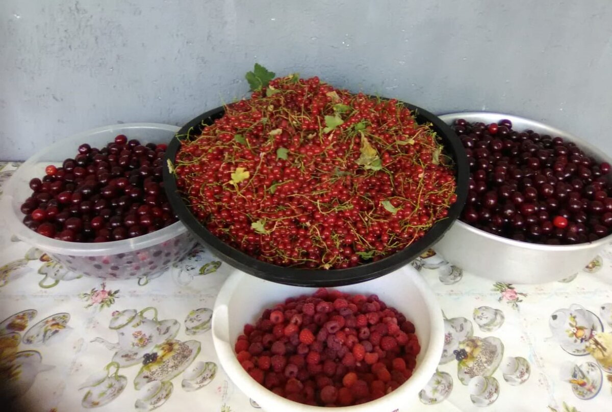 Ягодное ассорти из вишни, малины и красной смородины для приготовления конфитюра