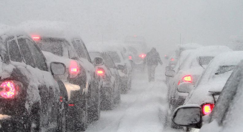 Фото: stepbystep.com