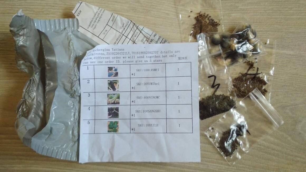 Семена с Алиэкспресс. Фото автора.