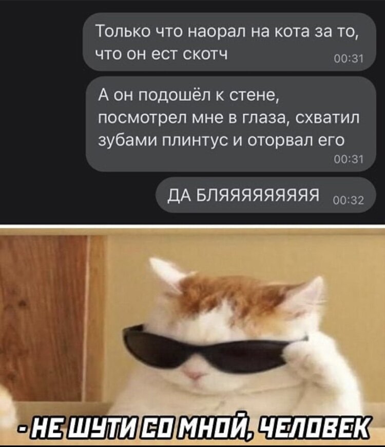 Фото из открытого источника.