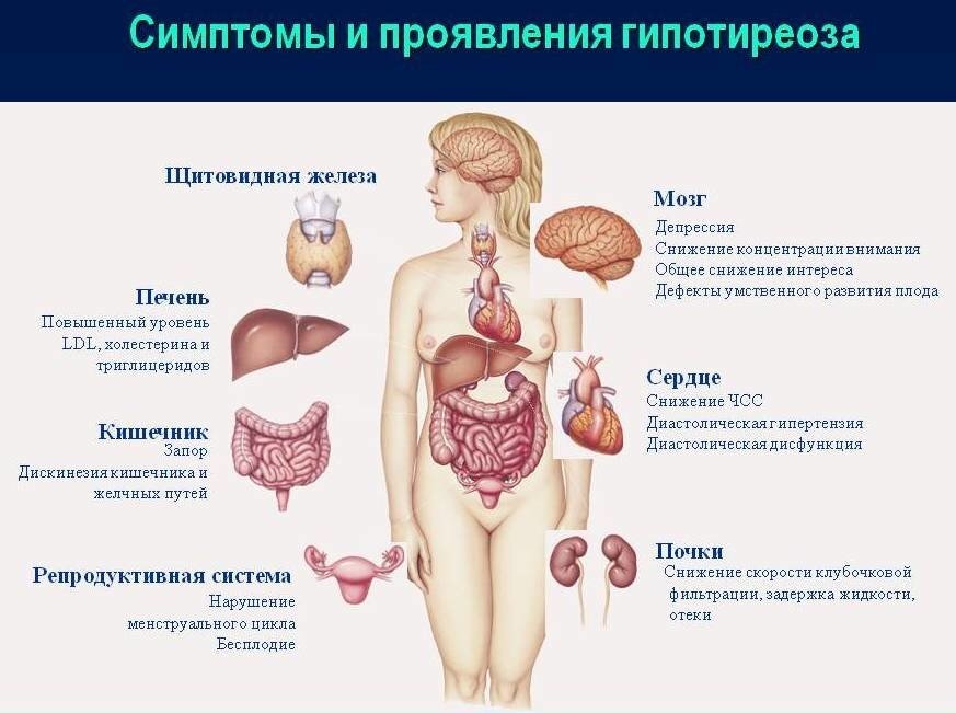 Взято из открытых источников
