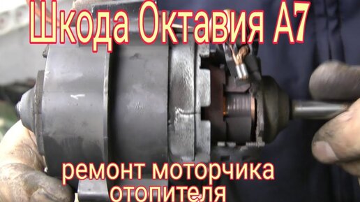 Шкода Октавия , замена шруса !!! #ремонт #SKODA #шкода | ремонт авто в России | Дзен