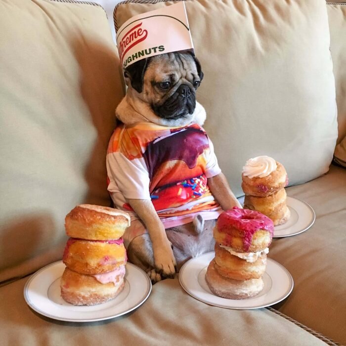 днюха удалась. - родители вы хоть знаете, что я хотел в подарок. айфон. а вы жрать принесли. Не порядок. Несите айфон.