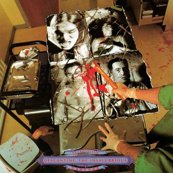  Обложка альбома Necroticism – Descanting the Insalubrious