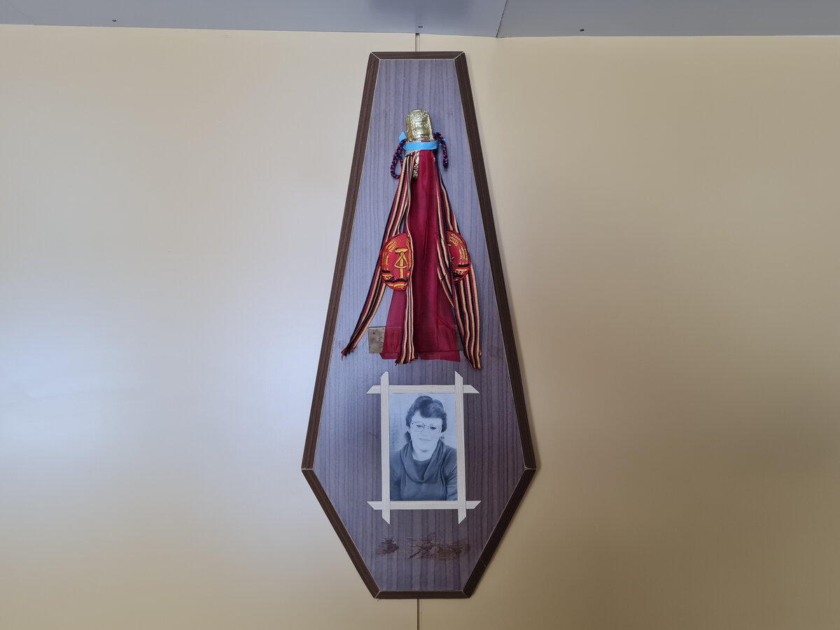 Не лебединая песня речного круизного теплохода «Лебединое озеро ...