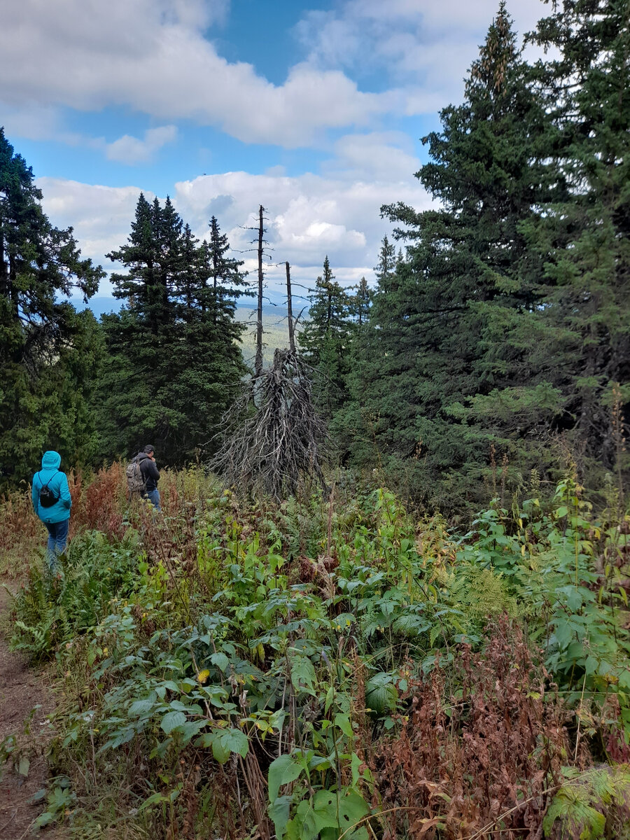 Поднимаемся. Фото автора