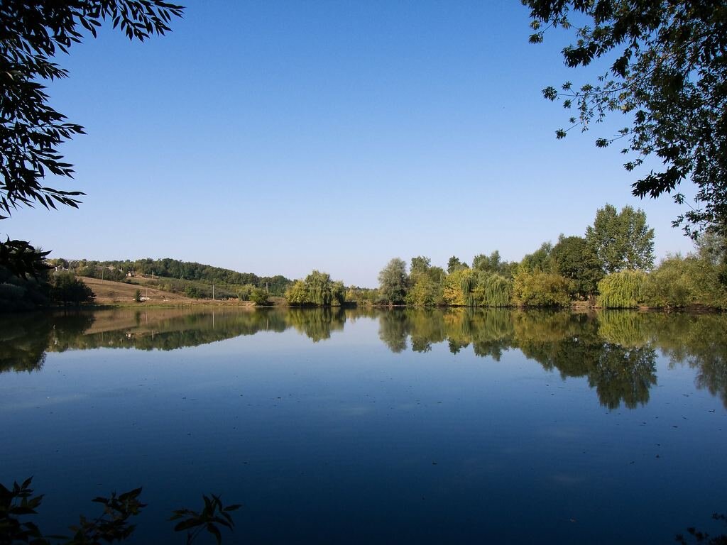 Я. Картинки, источник photocentra.ru 