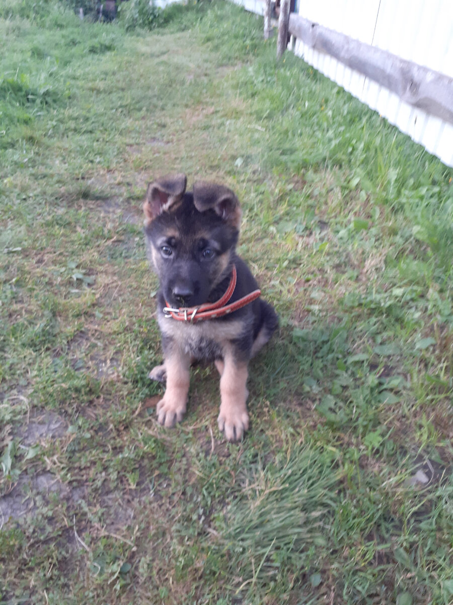 Из личного архива