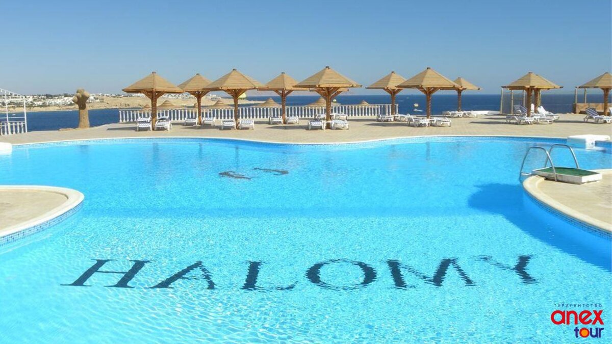 Туры в египет в июне 2024. Grand Halomy Resort 3*. Grand Halomy Resort (ex. The REGNUM, Halomy Naama Bay Resort) 3*. Grand Halomy Resort Naama Bay 3 Шарм-Эль-Шейх. Grand Halomy Resort Naama Bay (ex. The REGNUM Halomy) 3 *** (Шарм Эль Шейх).