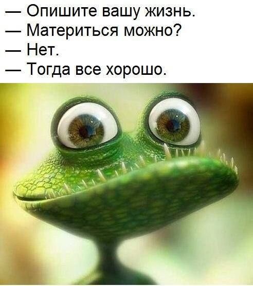 https://i.pinimg.com/564x/29/99/81/29998169da96ac76718156f57f19f9ab.jpg