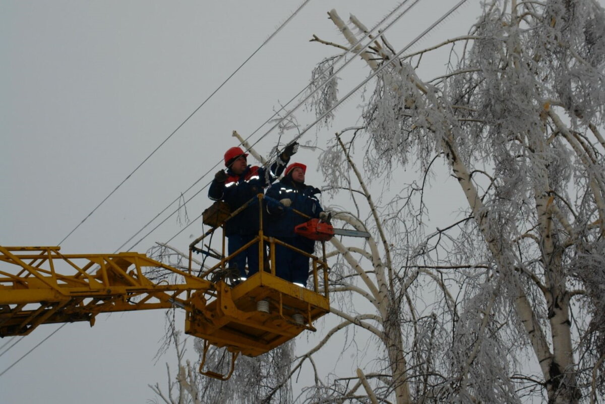 vologda-oblast.ru