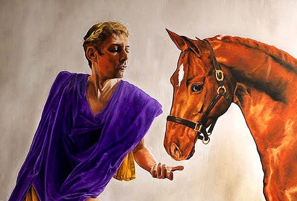 Как и за что казнили Калигулу?5
