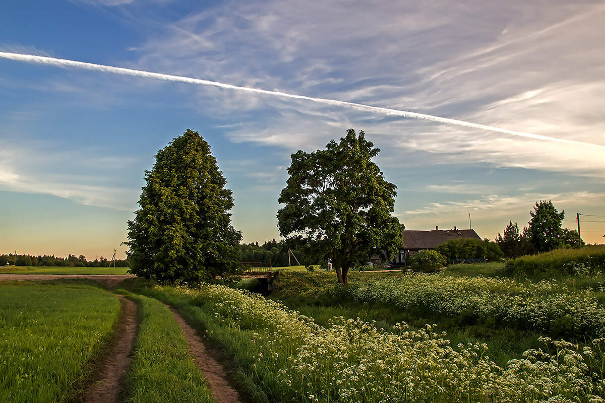 В жизни есть только две настоящие трагедии: одна — когда не получаешь того, чего хочешь, а вторая — когда получаешь. Страшнее вторая, так как, когда получаешь то, чего хочешь, чаще всего испытываешь разочарование. 
Оскар Уайльд