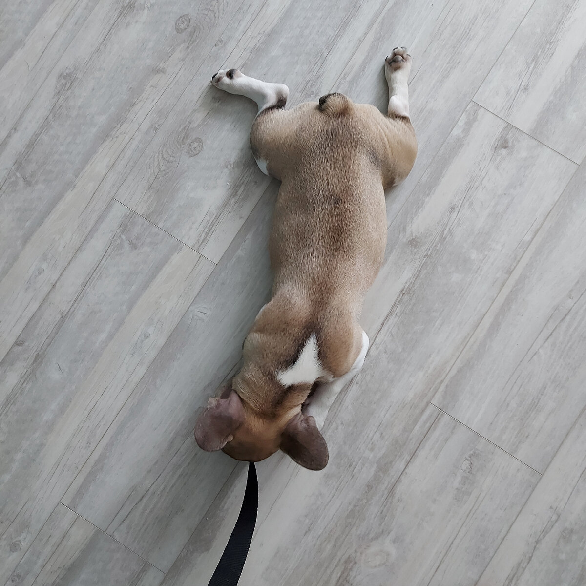 Мне кажется она стала больше