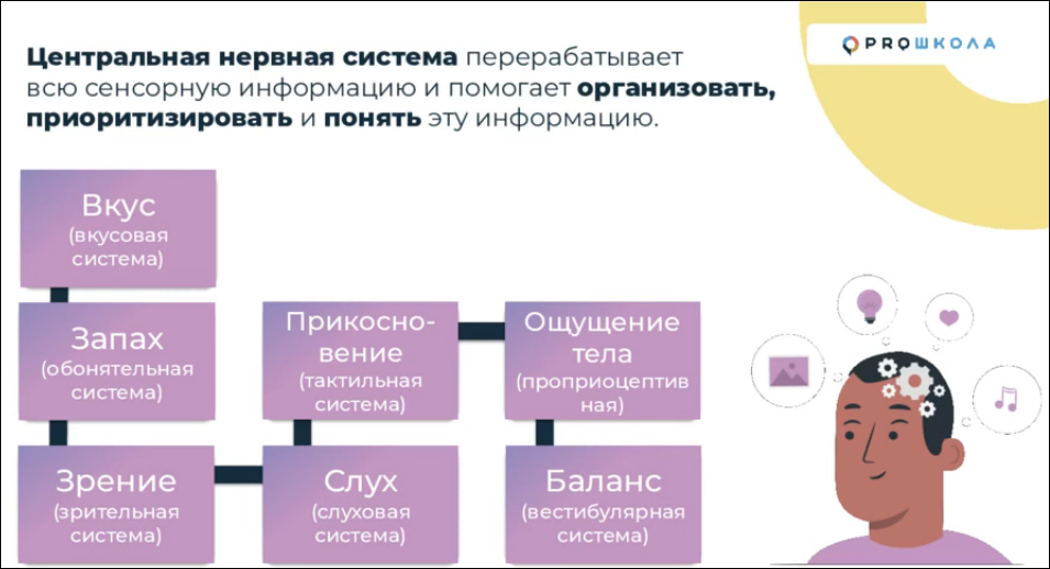 Сенсорная интеграция — способность организма работать с информацией от тела и внешнего мира. Это помогает мозгу формировать и контролировать поведение, эмоции и реакции тела
