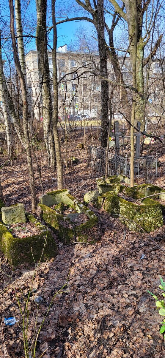 Вдоль улицы Беринга