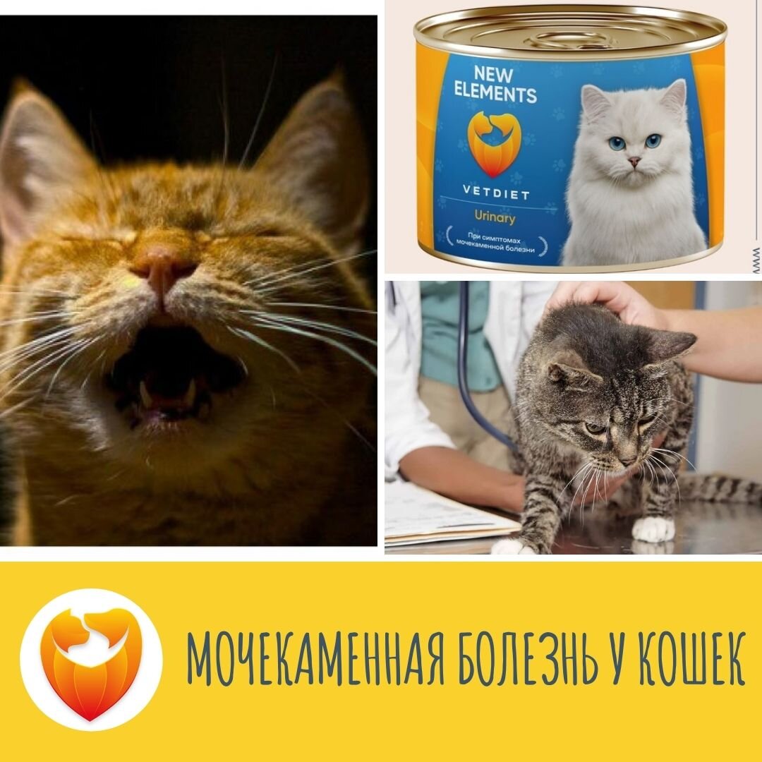 Подпишись в нашу группу и получай полезную информацию ежедневно!