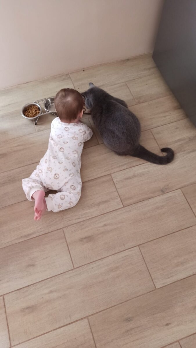 Моя Богиня познает мир. 